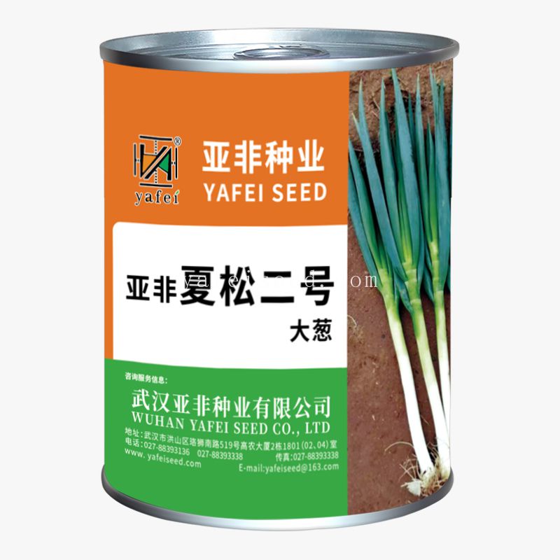 玉葱 亚非夏松二号（大葱品种）-武汉亚非种业有限公司